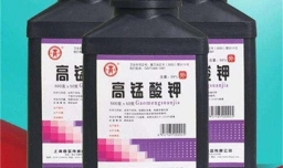 如何救活根烂了只剩杆的发财树