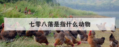 七零八落是指什么动物