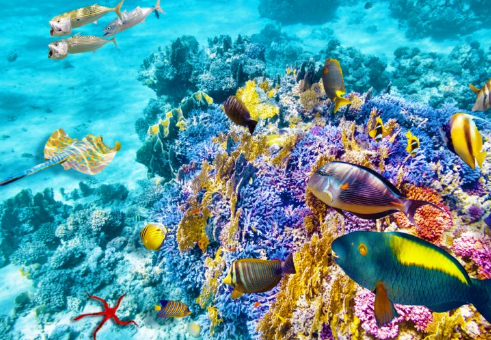 世界上十大奇观