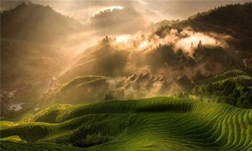 唐诗排行榜前十名