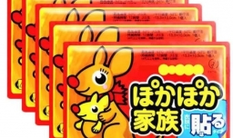 去南极旅游有哪些注意事项