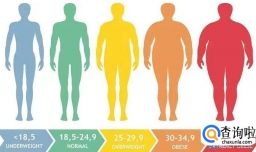 全球一半人口2035年可能超重？如何有效预防肥胖？