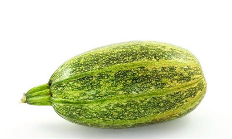 为什么会没有北瓜