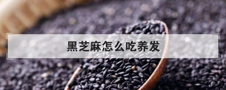 黑芝麻怎么吃养发