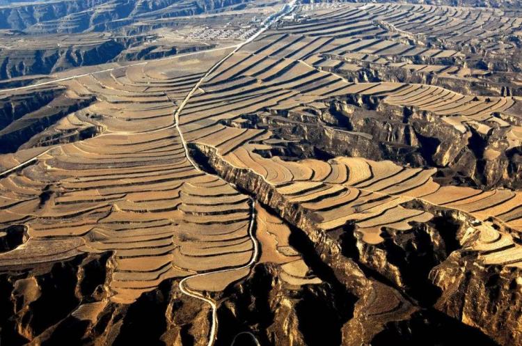 黄土高原地处什么带