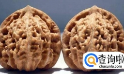 文玩核桃有什么种类和特点