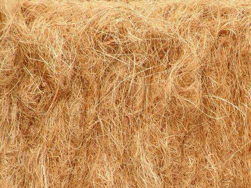 植物棉是什么材料