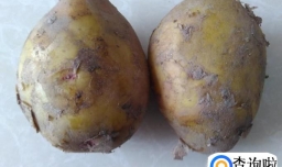 干锅黄鳝土豆的做法