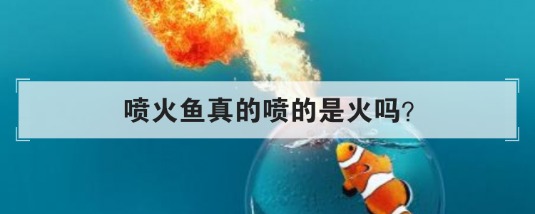 喷火鱼真的喷的是火吗