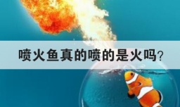喷火鱼真的喷的是火吗