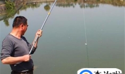 捕鱼神器有哪些