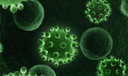 《自然》高度关注儿童不明原因肝炎的原因