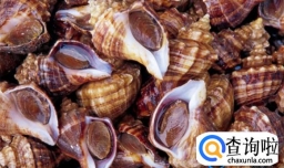 吃海螺有哪些好处