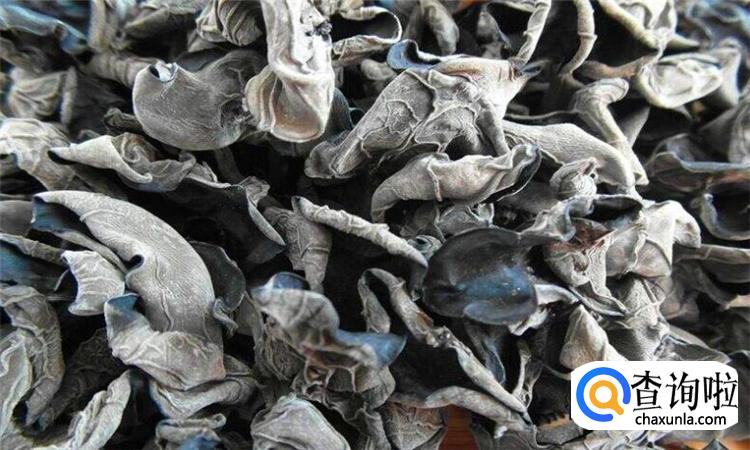 怎样鉴别野生木耳有毒