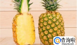 菠萝为什么有酒味