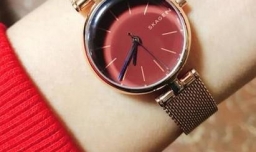 有哪些超级火爆的女士手表？