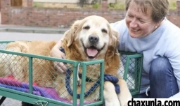 狗狗可以活多久