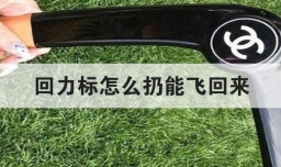 回力标怎么扔能飞回来