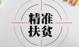 什么是精准施策的前提？