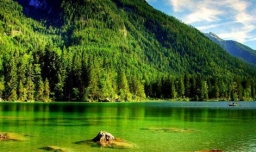 描写水的诗句有哪些？