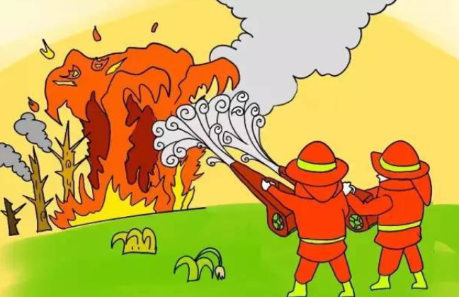 森林防火知识有哪些