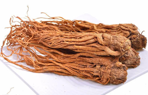 男人吃当归可以壮阳吗