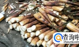 苦笋肉片汤做法