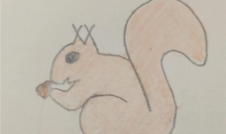 教大家画动物——小松鼠