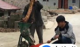 野生葛根粉的制作过程