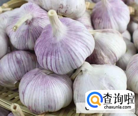 如何保存大蒜头不会发芽