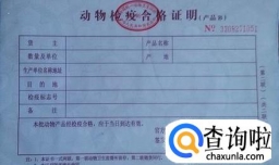 狗狗坐飞机需要什么手续