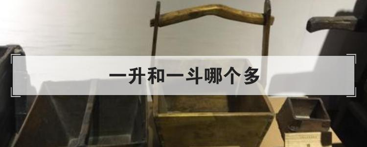 一升和一斗哪个多