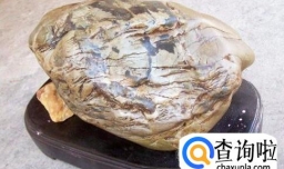 奇石的五个鉴定方法