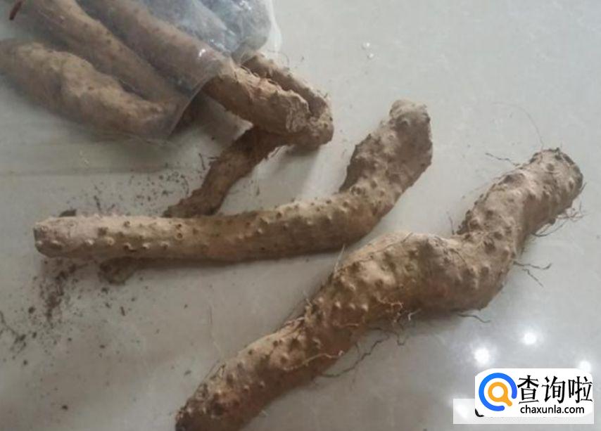 铁棍山药发芽能吃吗