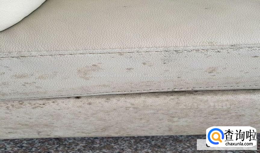 沙发有发霉的黑点要怎么处理