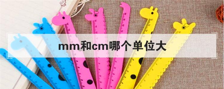 mm和cm哪个单位大