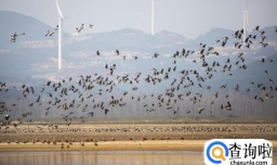 鄱阳湖看大雁旅游攻略