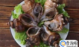蒸海螺出现白色液体还能吃吗