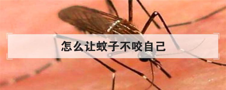 怎么让蚊子不咬自己