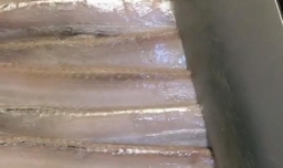 美味红烧带鱼的做法