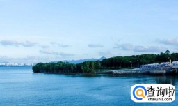 深圳红树林深圳湾一日游攻略