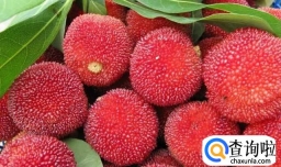 怎样自己做杨梅汤