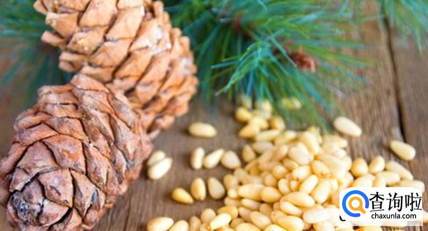 吃松子有哪些健康功效