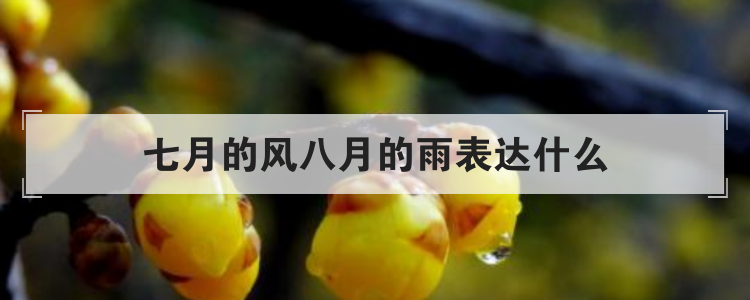 七月的风八月的雨表达什么