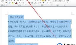 如何给word文字加边框？