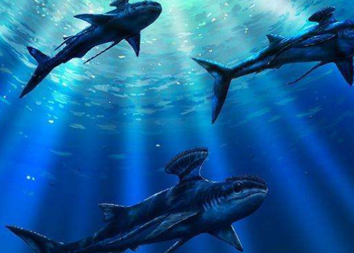 地球上的生物种类超过多少万种