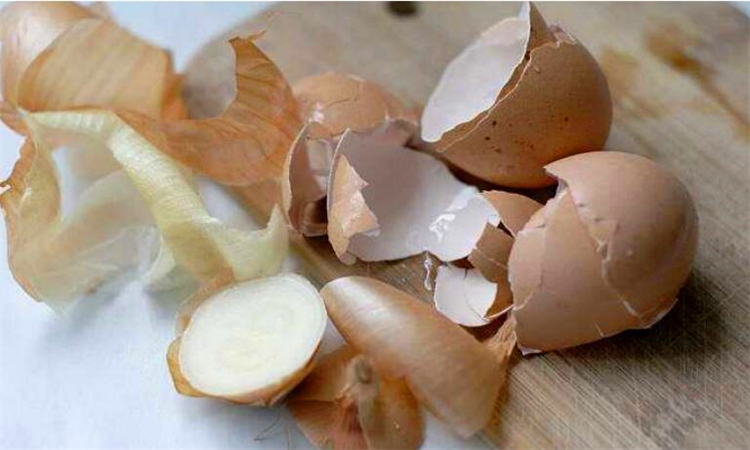 鸡蛋壳的成分有哪些