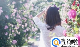 十二星座之恋爱原则