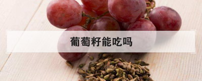 葡萄籽能吃吗