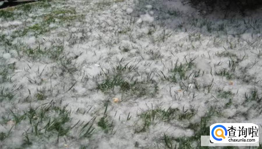 屋里都是柳絮怎么处理